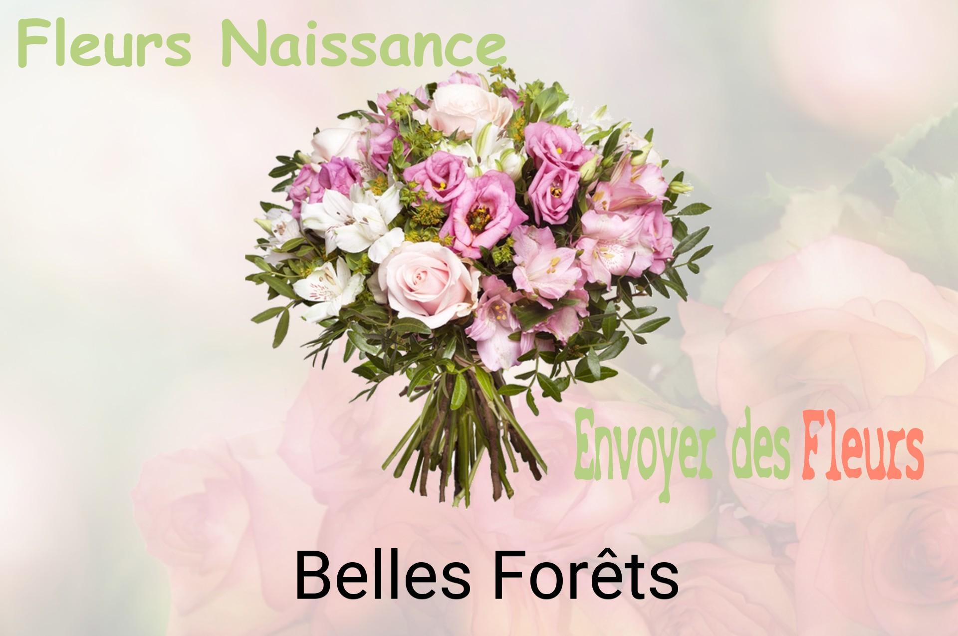 Bouquet de fleurs de naissance livré à Belles-Forêts