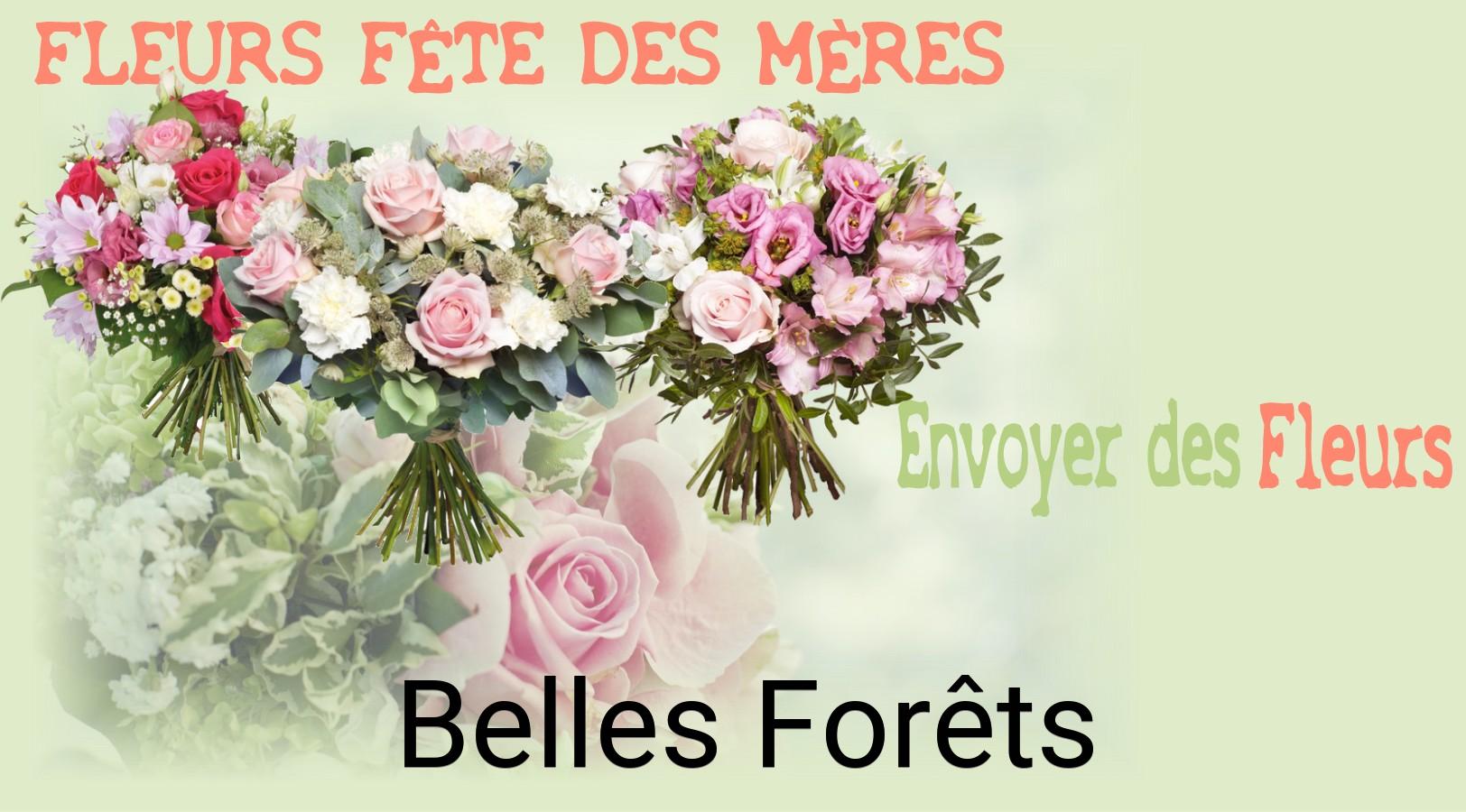 Bouquet de Fête des Mères livré à Belles-Forêts